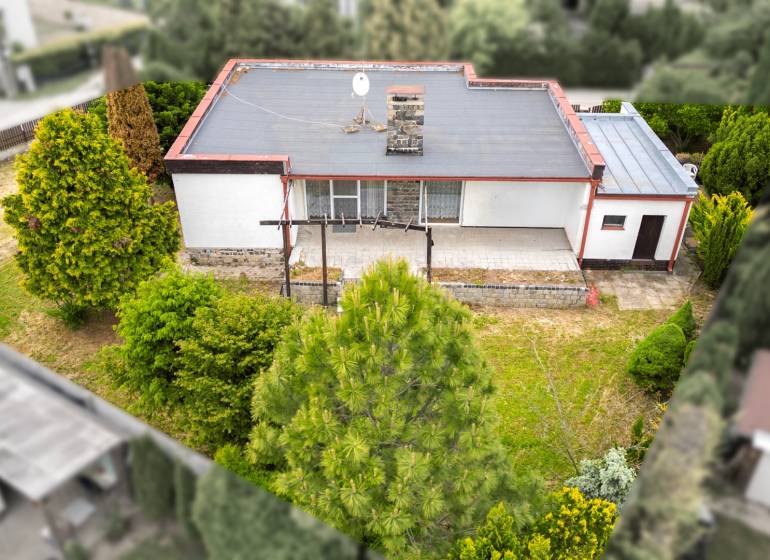 A family house on Trenčianska in Ivanka pri Dunaji is surrounded by a garden with coniferous trees.