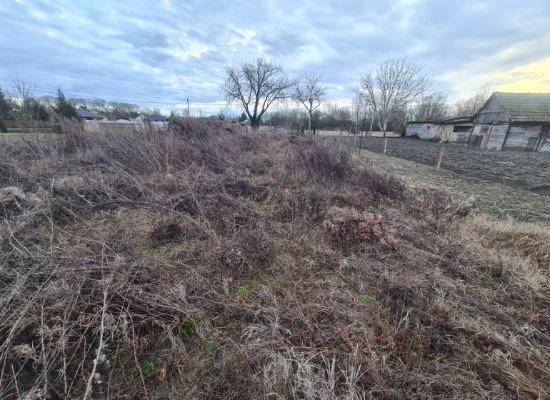 Plots - housing in Martovce, undeveloped terrain, older wooden structures, trees, clouds in the sky.