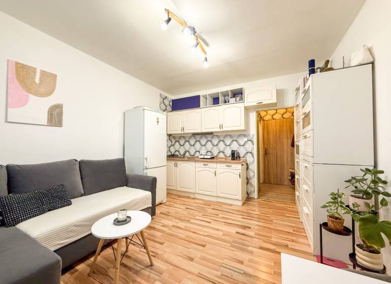 Studio apartment with a sofa, wooden floor decor, and a kitchenette, complemented by plants.