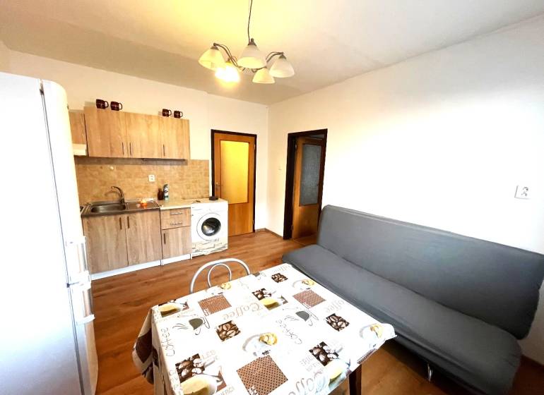 A kitchen with a sofa in a studio apartment, wooden decor flooring, dining table.