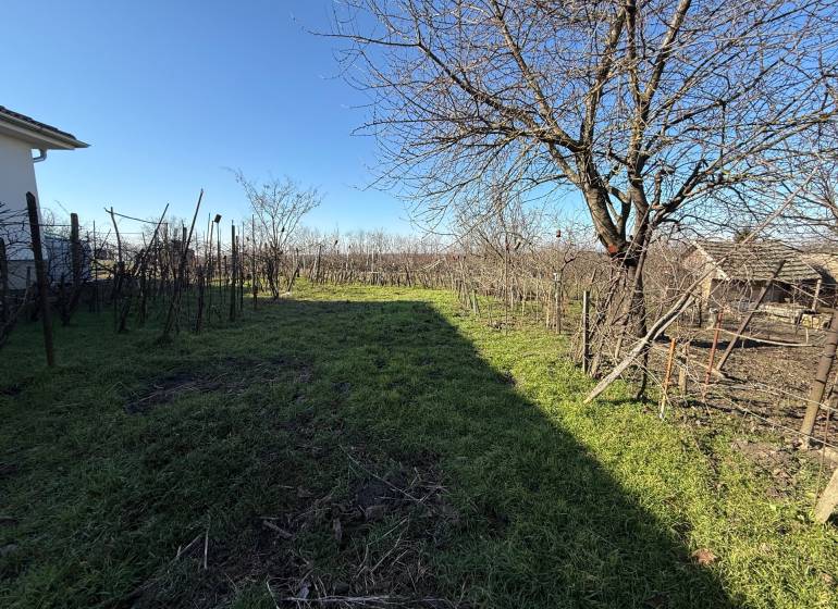 Land on Cintorínska Street in Svätý Peter with vineyards and trees.
