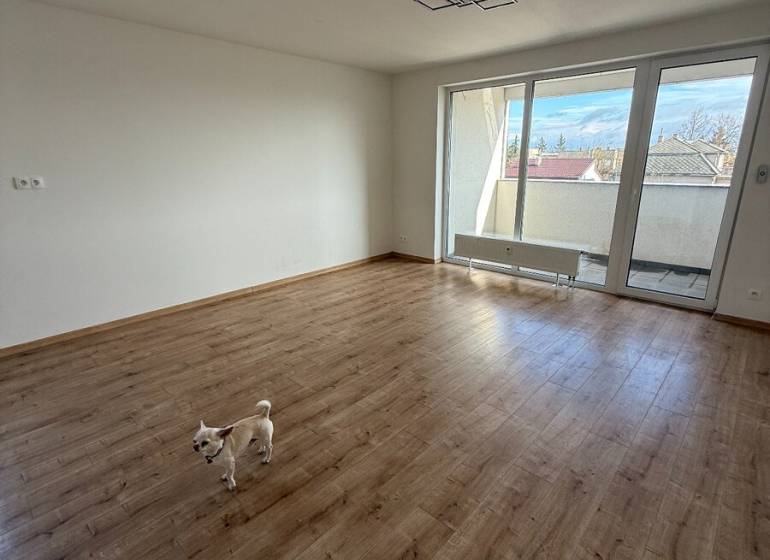 A spacious room in a 2-room apartment with a wood-patterned floor and a balcony.