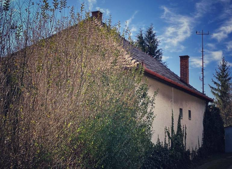 A family house in Horné Chlebany surrounded by dense greenery and thick trees.