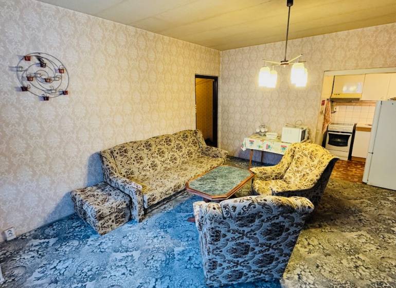 Living room with a retro sofa set, patterned carpet, entrance to the kitchen in a two-room apartment.