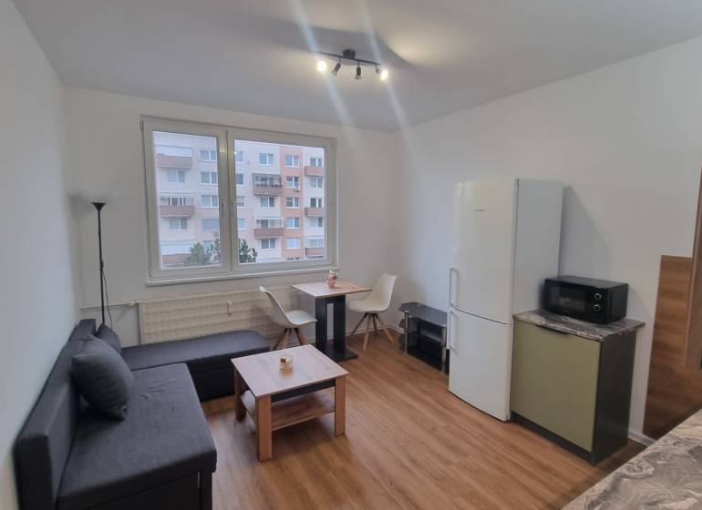 Living room of a one-room apartment with a sofa, table, and wooden decor flooring.