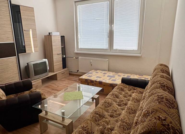 Studio apartment with wood-patterned flooring, a sofa, and a glass coffee table.