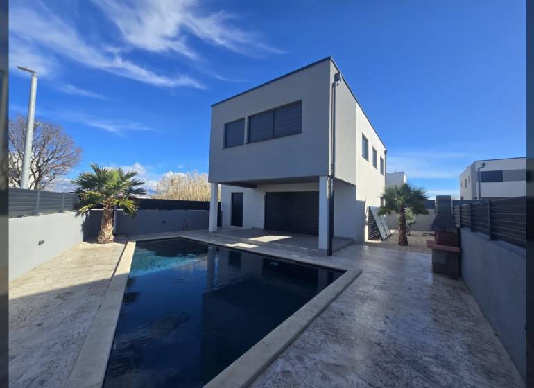 Villa in Zukve, Vrsi with a pool and a palm tree in the yard.