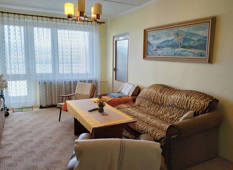 Living room with a sofa, armchair, and table in a 2-room apartment with a large window.
