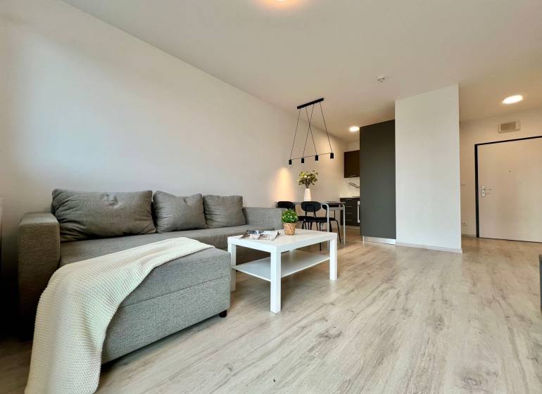 A living room with wood-patterned flooring, a sofa, and a dining table in a two-room apartment.