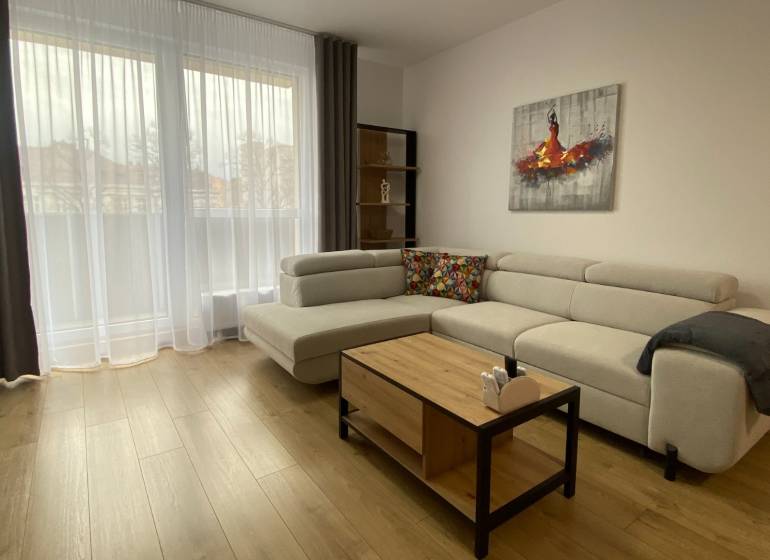 Living room with a sofa, wooden decor flooring, and furniture in a two-room apartment.