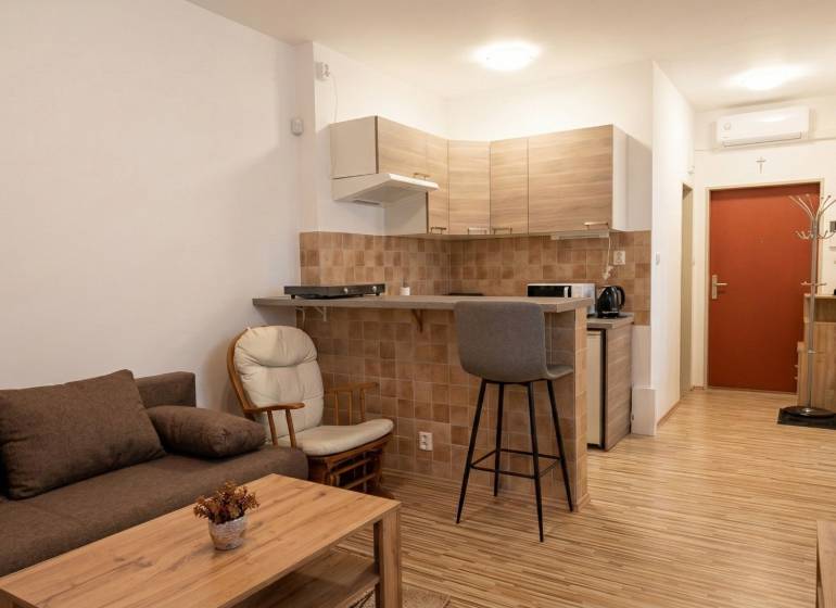 A studio apartment with a wood-patterned floor, a kitchenette, and a comfortable sofa.