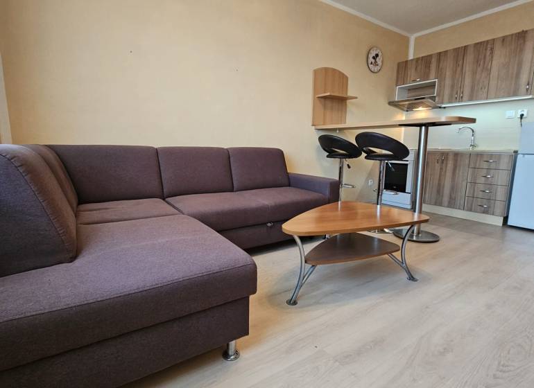 Studio apartment with a corner sofa, kitchen unit, and floor with a wood design.