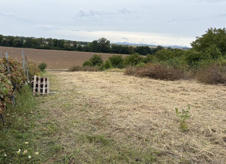 The gardens in Zvončín offer a view of the meadows and fields in the Zvončín area.