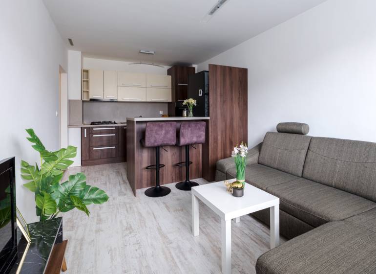 Living room with kitchen, sofa, bar counter, and wooden decor flooring in a two-room apartment.