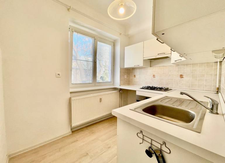 A kitchen in a studio apartment with a wooden decor floor and a cooktop.