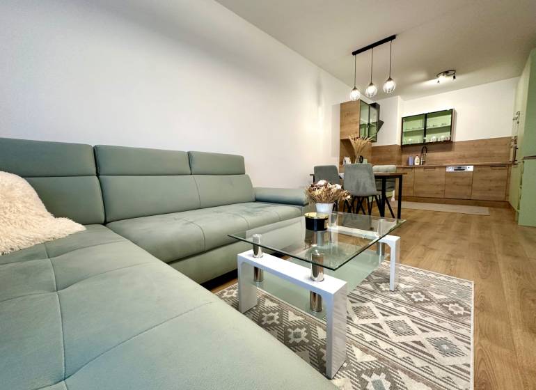 Living room in a 2-room apartment with a wooden decor floor and a comfortable sofa.