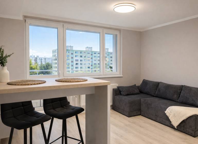 Living room in a two-room apartment with a sofa, bar table, and chairs.