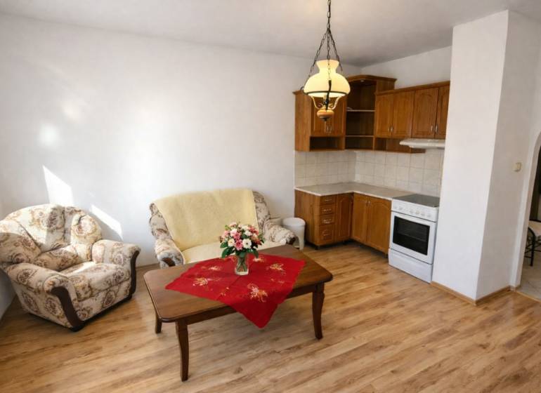 Living room in a 2-room apartment with a kitchenette and a wooden decor floor.
