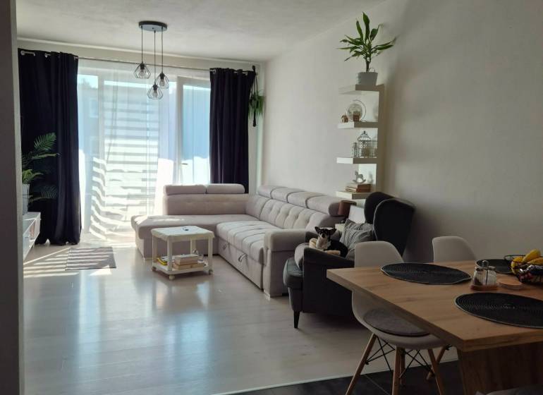 Interior of a 3-room apartment with a sofa, dining table, and wooden decor flooring.