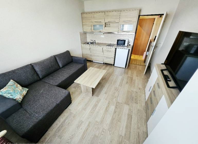 Studio apartment with a sofa, kitchenette, and wooden decor flooring.