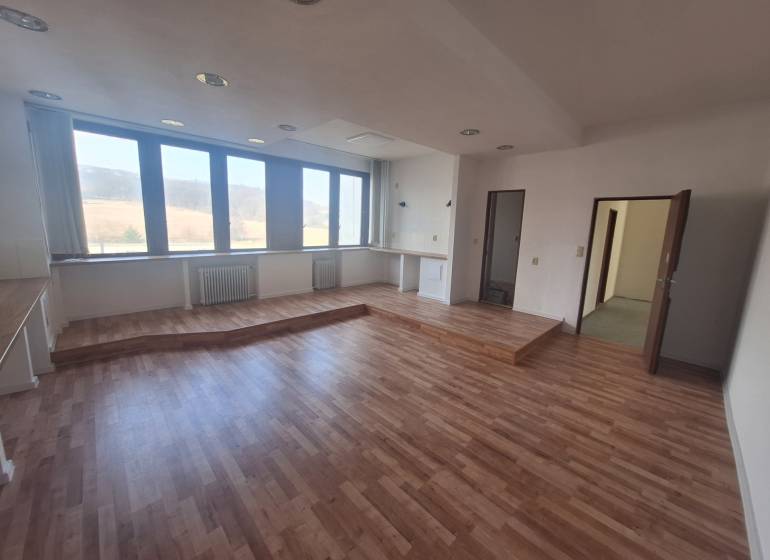 Interior of commercial space with large windows, wooden decor flooring, empty room.