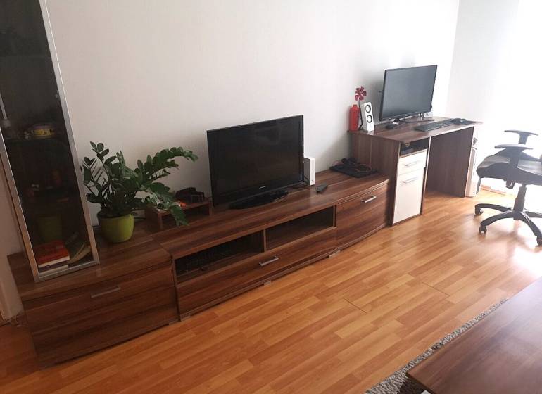 A room of a 2-room apartment with a television, a table, a wooden-patterned floor, and a plant.