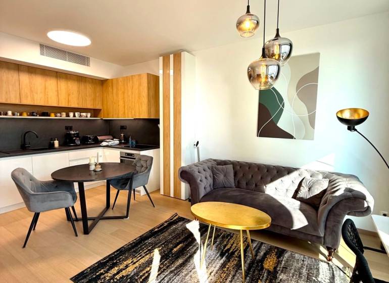 Living room in a two-room apartment with a wood-patterned floor and modern furniture.