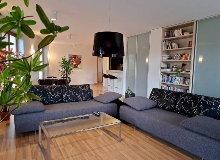 Living room in a two-room apartment with a sofa, books, and a wooden decor floor.