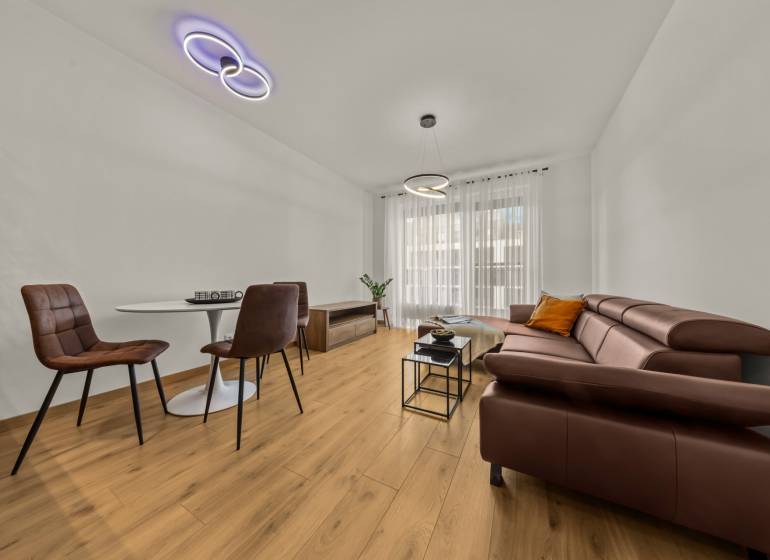 Living room in a two-room apartment with a wood-patterned floor, a brown sofa, and a dining table.