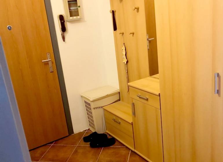 Hallway in a one-room apartment with a shoe cabinet, cupboard, and a telephone on the wall.