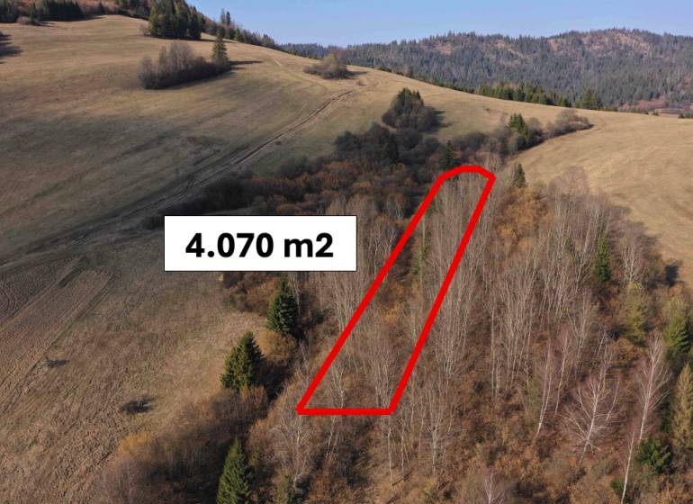 Forest land in the vicinity of Námestovo, marked with an area of 4,070 m².