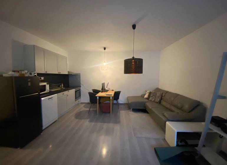 Kitchen with dining area in a 2-room apartment with wood-patterned flooring.