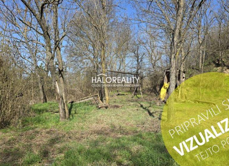Recreational plots in Zalaba with grass and trees, ideal for rest and relaxation.
