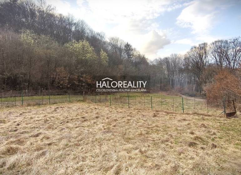 Recreational plots in Ladomerská Vieska with a fenced grassy area surrounded by forest.