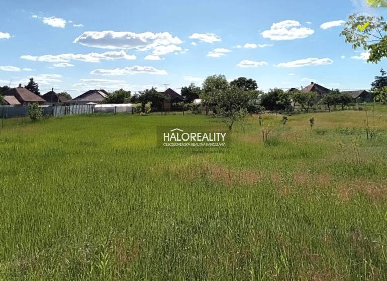 Grassy areas in the gardens of Marcelová, surrounded by houses in sunny weather.