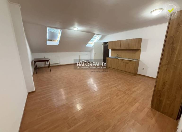 Studio apartment with wood-patterned flooring, a kitchenette, and two skylights.