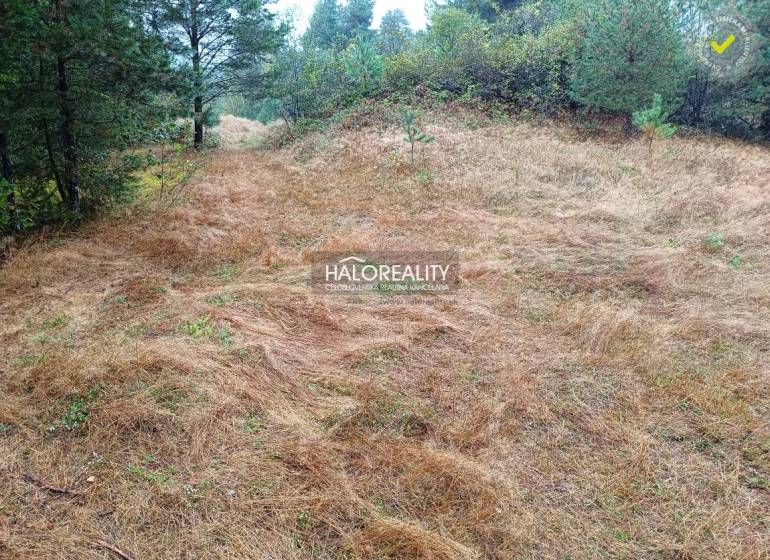 A wooded plot in Gelnica suitable for living, surrounded by nature and greenery.