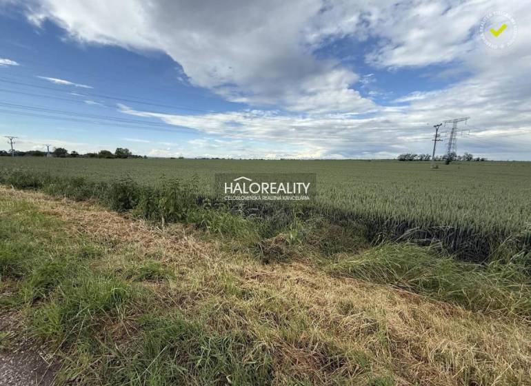 Extensive fields in Hula for plots - housing, under power lines, blue sky.