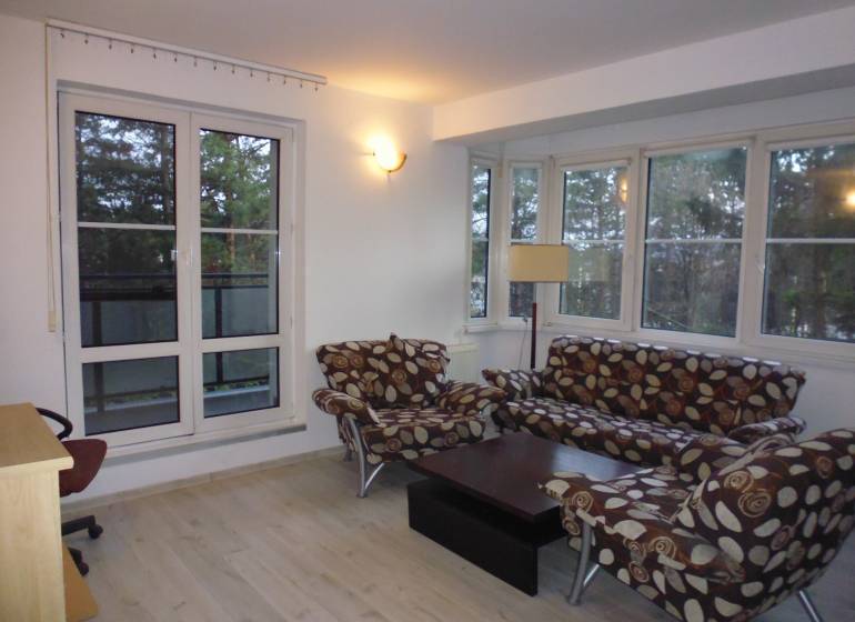 Living room in a two-room apartment with windows, wood-patterned flooring, and upholstered furniture.