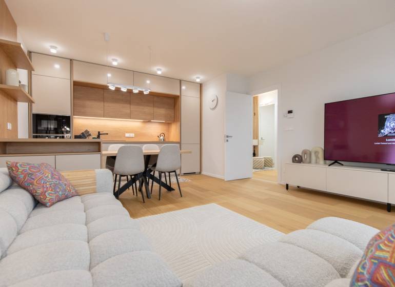 Living room in a two-room apartment with a kitchen, sofa, and television.