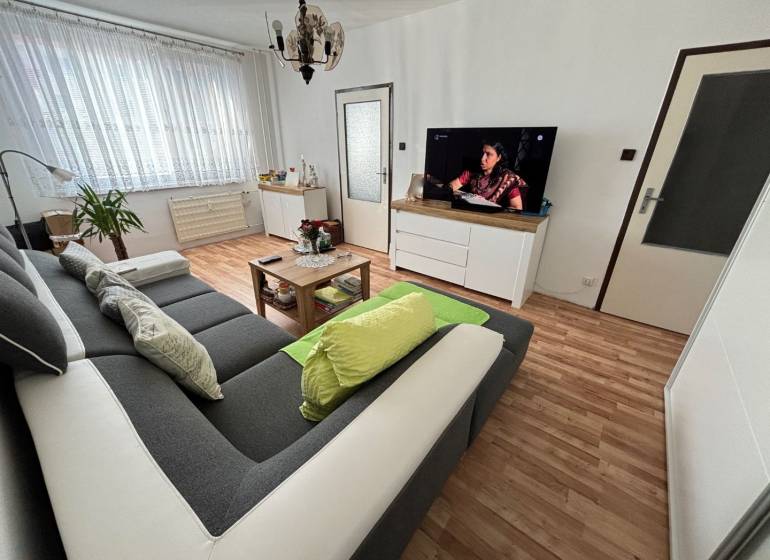 Living room in a 3-room apartment with wood-patterned flooring, large sofa, television.