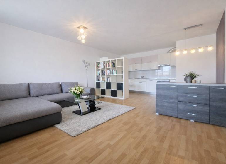 Living room with kitchen, comfortable sofa, floor decor, and modern lighting in a two-room apartment.