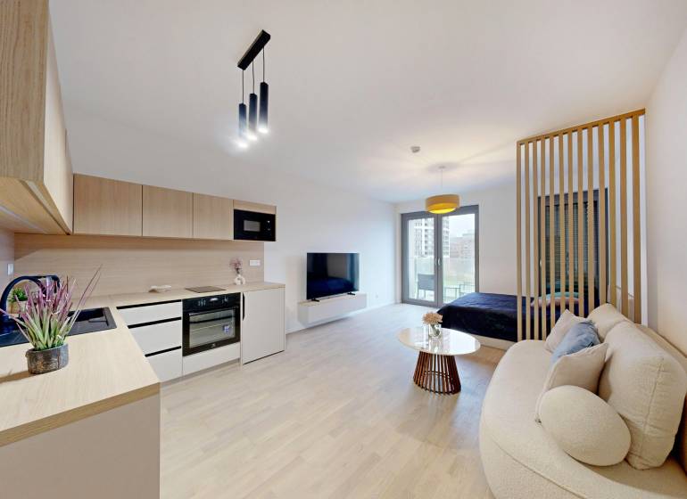 Interior of a 1-room apartment with a kitchen unit, sofa, and wooden decor flooring.