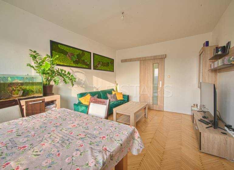 Living room in a 3-room apartment with a wooden decor floor, complemented by houseplants.