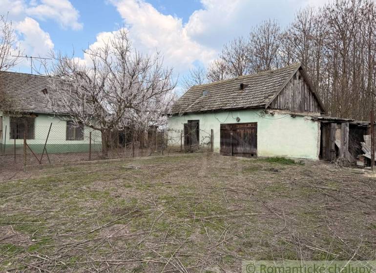 A family house in Čalovec with a large yard, a shed, and a cherry tree in the foreground.