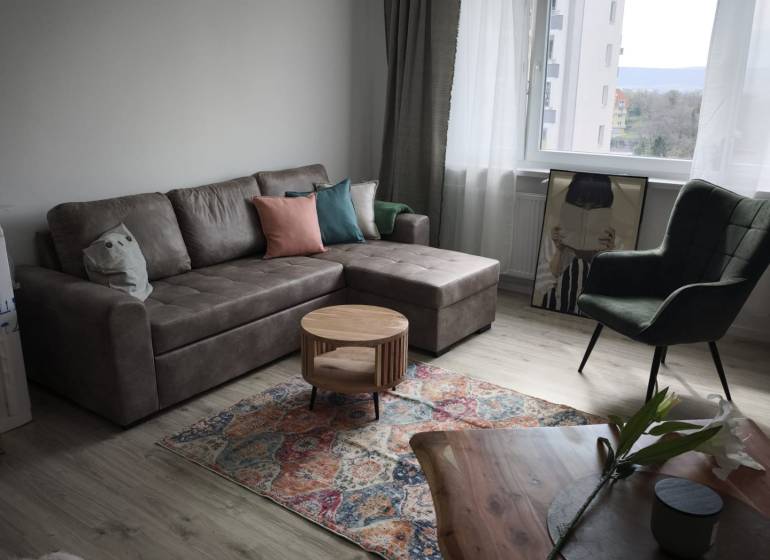 Living room in a two-room apartment with a comfortable sofa and a wooden decor floor.