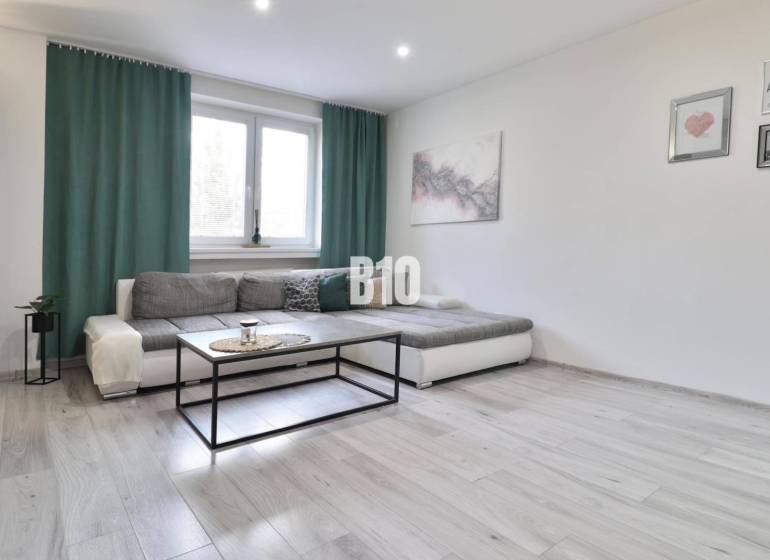 Living room with a sofa, coffee table, and wooden decor flooring in a 2-room apartment.