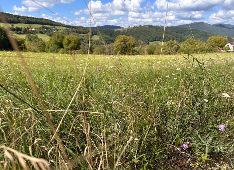 A flowery meadow on agricultural and forest lands near Veľká Čausa with a view of the hills.