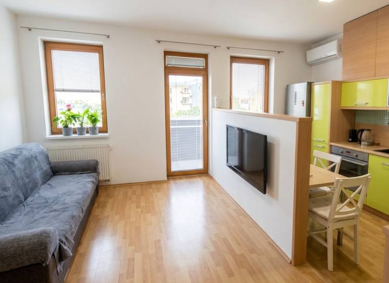 Living room in a two-room apartment with a wooden decor floor, equipped with a sofa and a television.