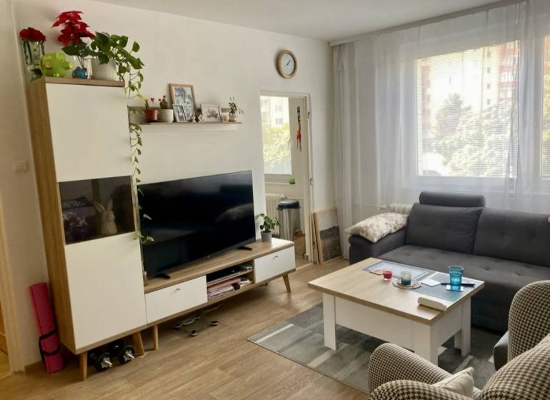 Living room in a 3-room apartment with a sofa, television, and wooden decor flooring.